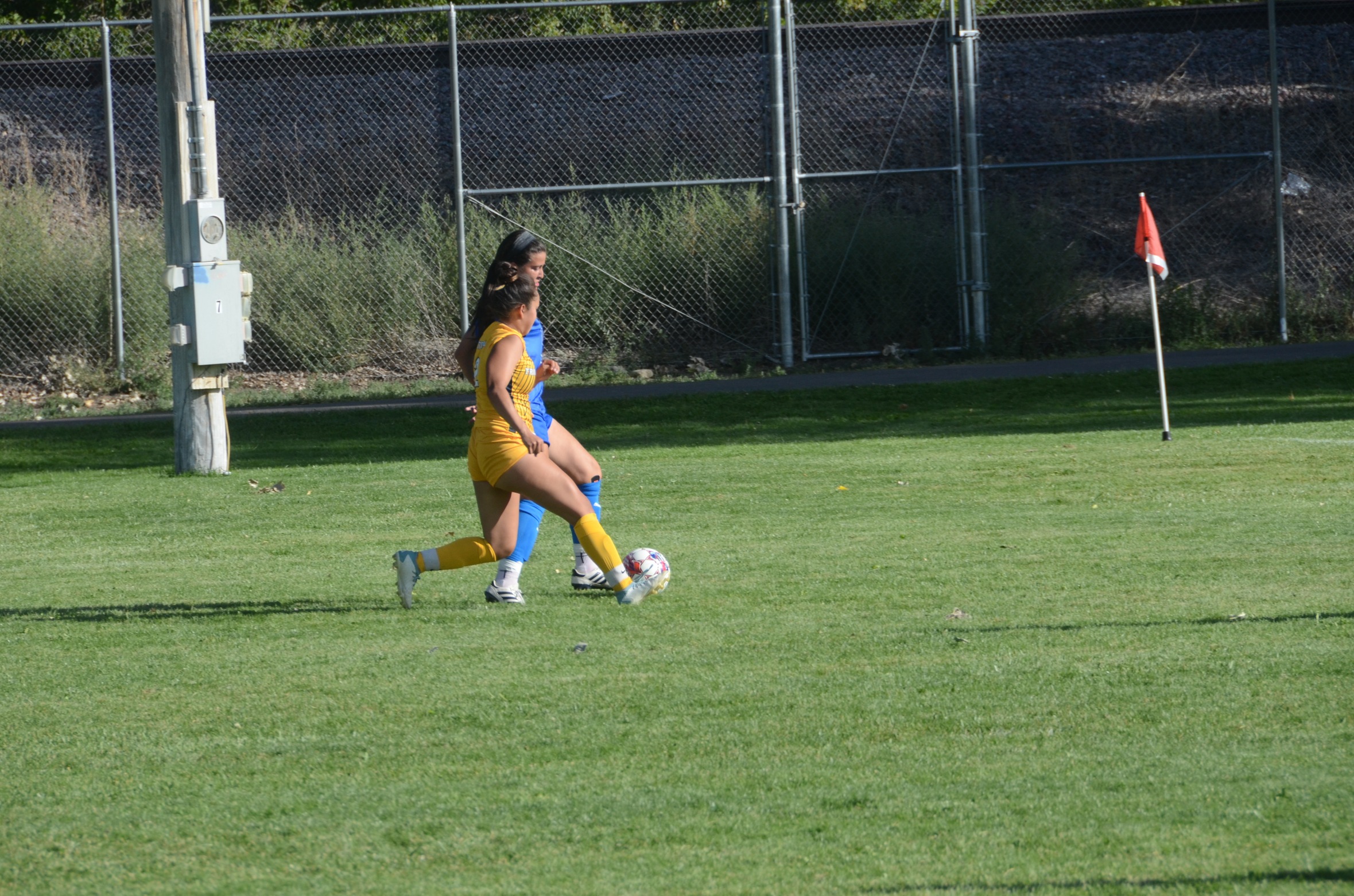 TSC at home vs Lamar