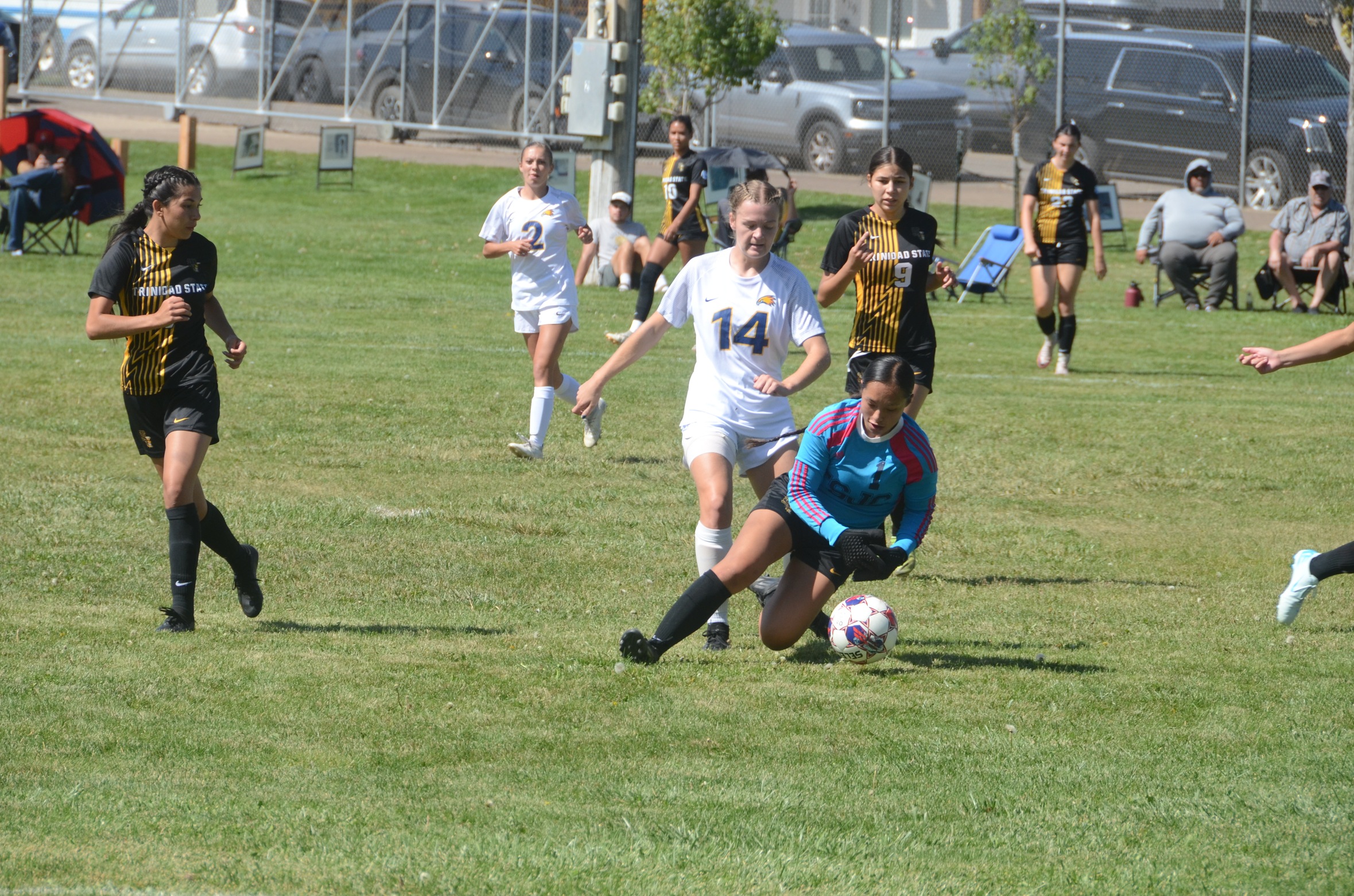 Quintana Aficial dives for a ball against LCCC at Central Park